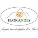 Flor de Los Andes